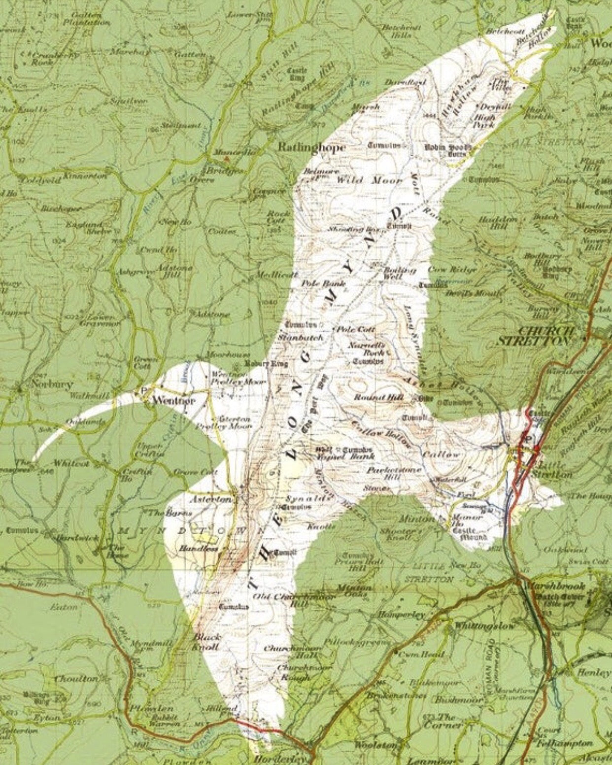 Birds on Maps - by Chris Snow / Maps & Diagrams