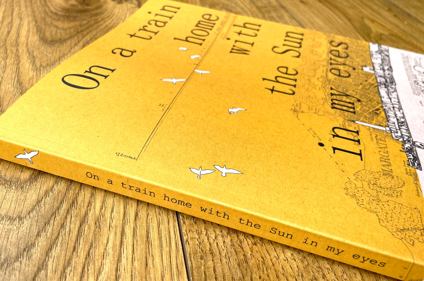 Preorder - On A Train Home With The Sun In My Eyes - A new book by Chris Snow / Maps & Diagrams