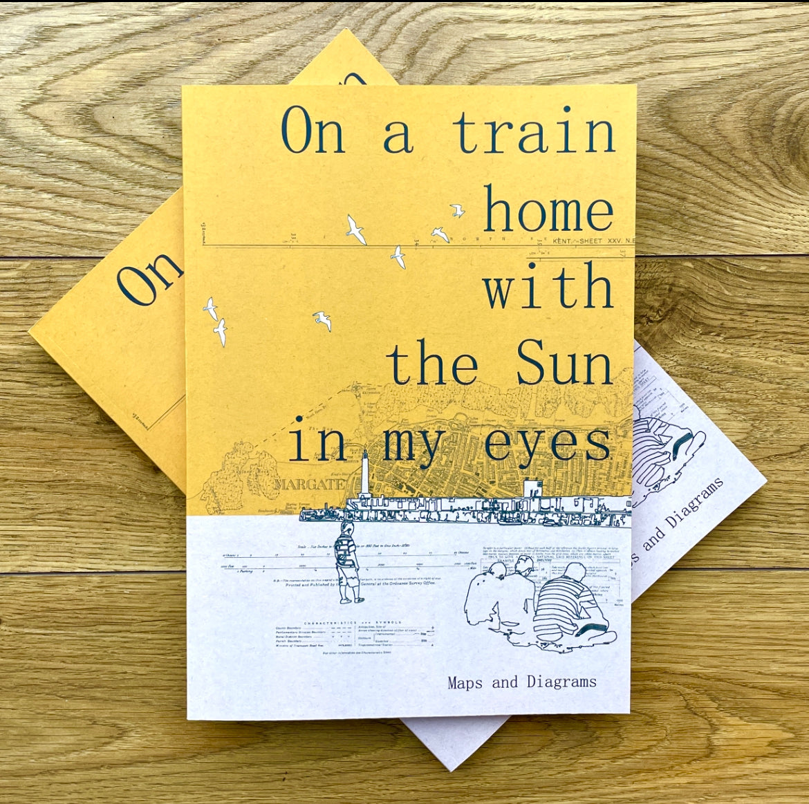 Preorder - On A Train Home With The Sun In My Eyes - A new book by Chris Snow / Maps & Diagrams