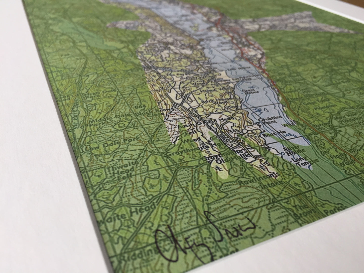Birds on Maps - by Chris Snow / Maps & Diagrams
