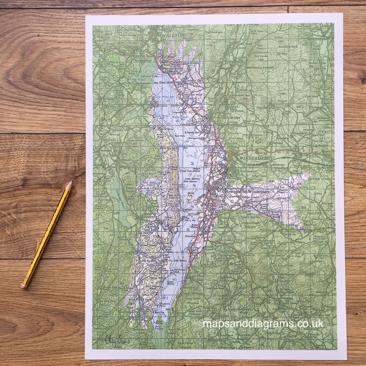 Birds on Maps - by Chris Snow / Maps & Diagrams