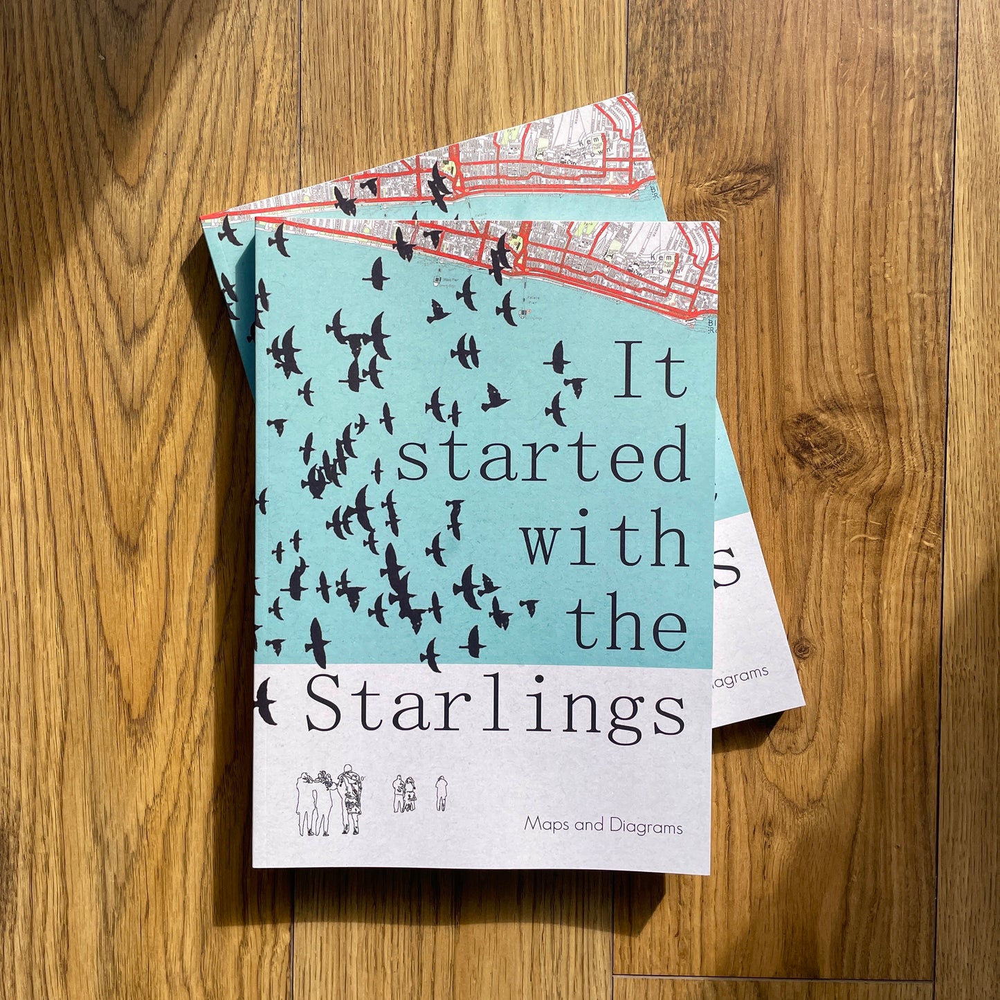 It Started With The Starlings - A book by Chris Snow / Maps & Diagrams.