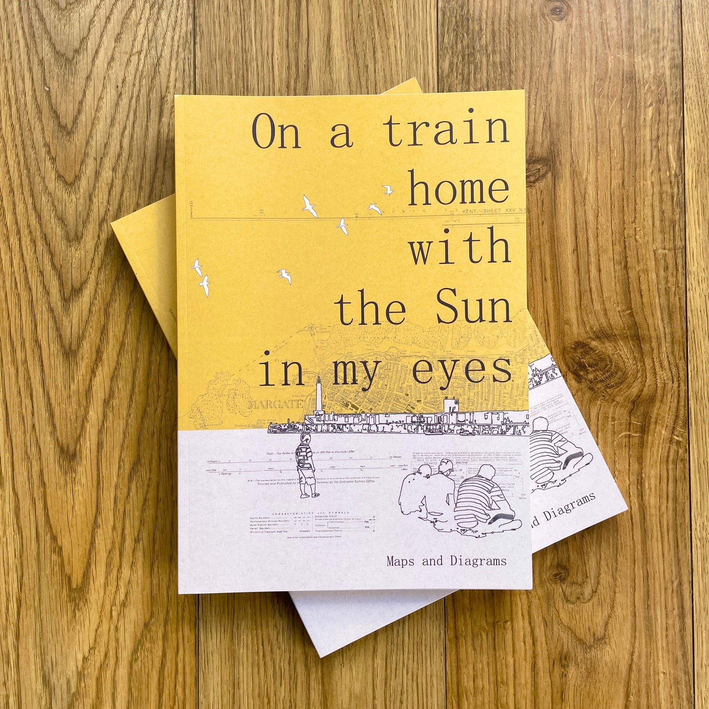On A Train Home With The Sun In My Eyes - A new book by Chris Snow / Maps & Diagrams