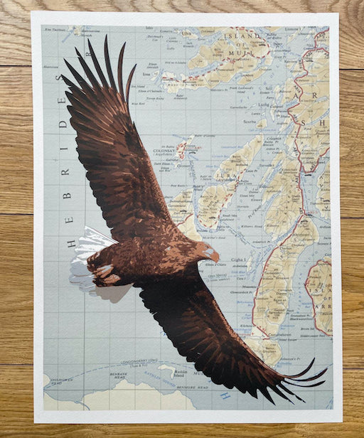 Birds on Maps - by Chris Snow / Maps & Diagrams