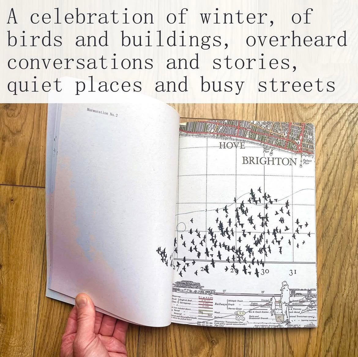 It Started With The Starlings - A book by Chris Snow / Maps & Diagrams. Part atlas, bird book, picture book, story book