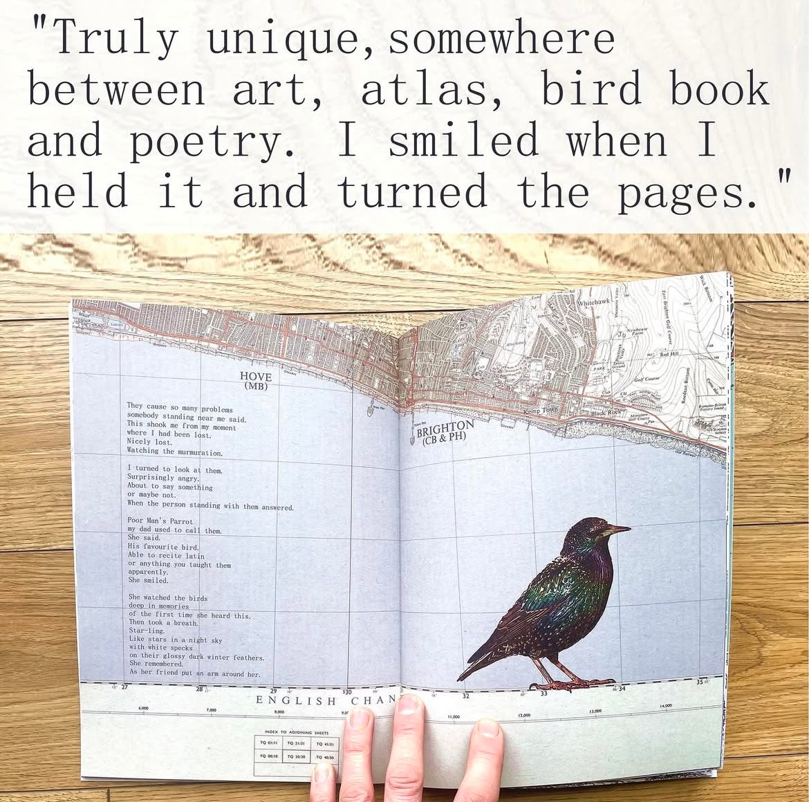 It Started With The Starlings - A book by Chris Snow / Maps & Diagrams. Part atlas, bird book, picture book, story book
