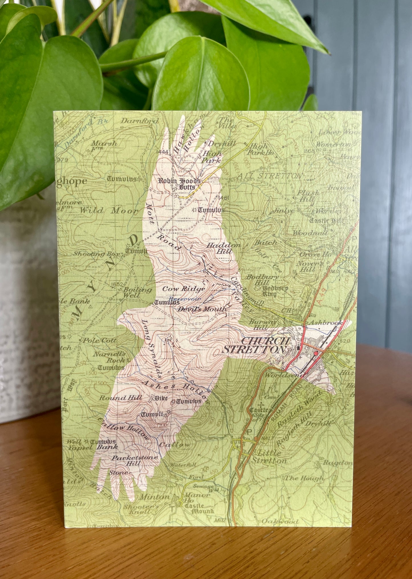 British birds greeting cards printed on OS Ordnance Survey maps. Series of 5 blank cards with recycled paper envelopes