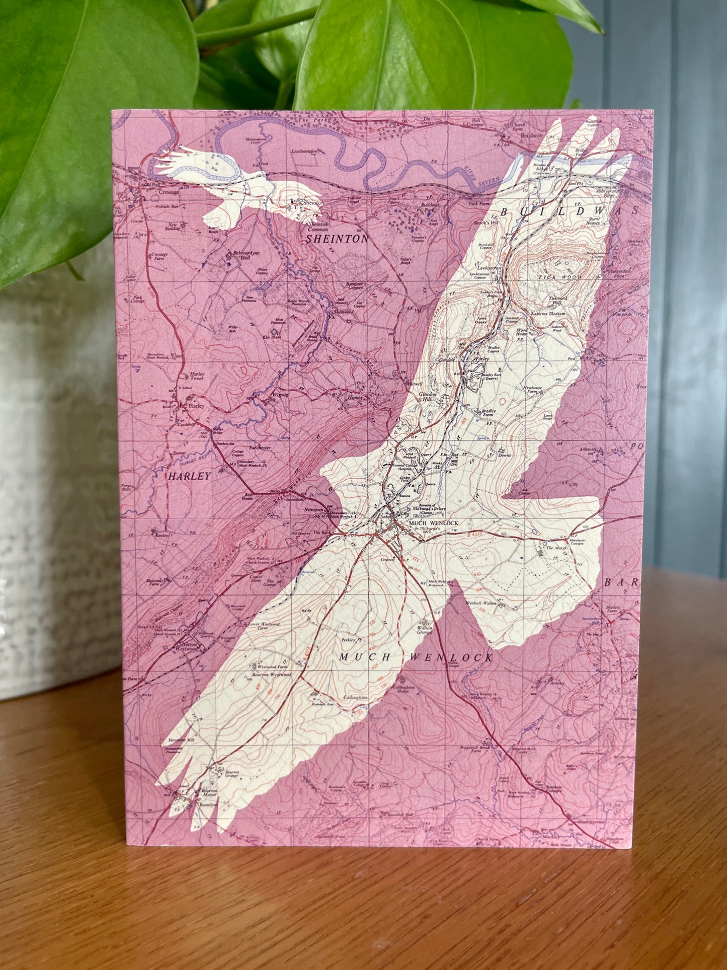 British birds greeting cards printed on OS Ordnance Survey maps. Series of 5 blank cards with recycled paper envelopes