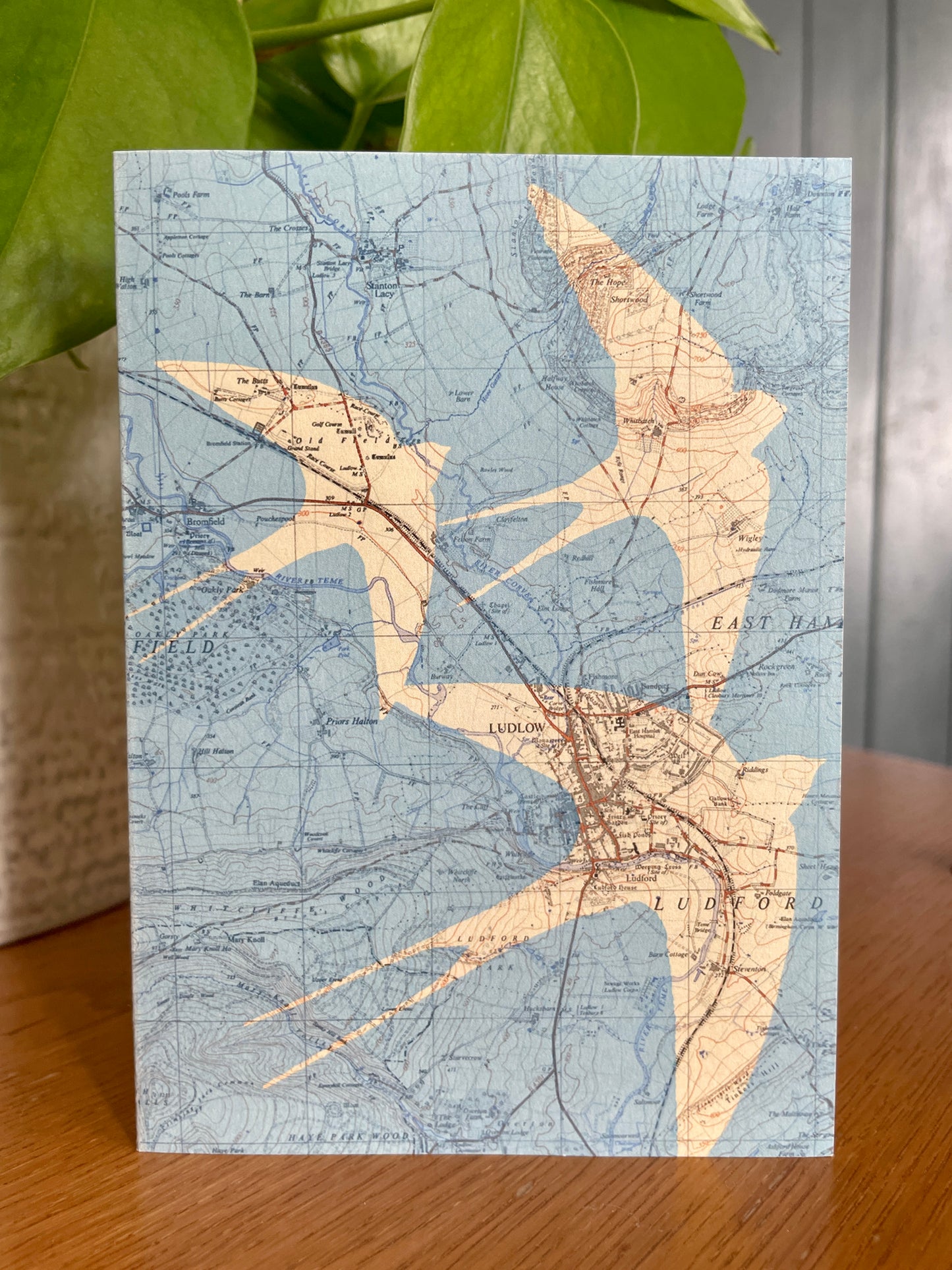 British birds greeting cards printed on OS Ordnance Survey maps. Series of 5 blank cards with recycled paper envelopes