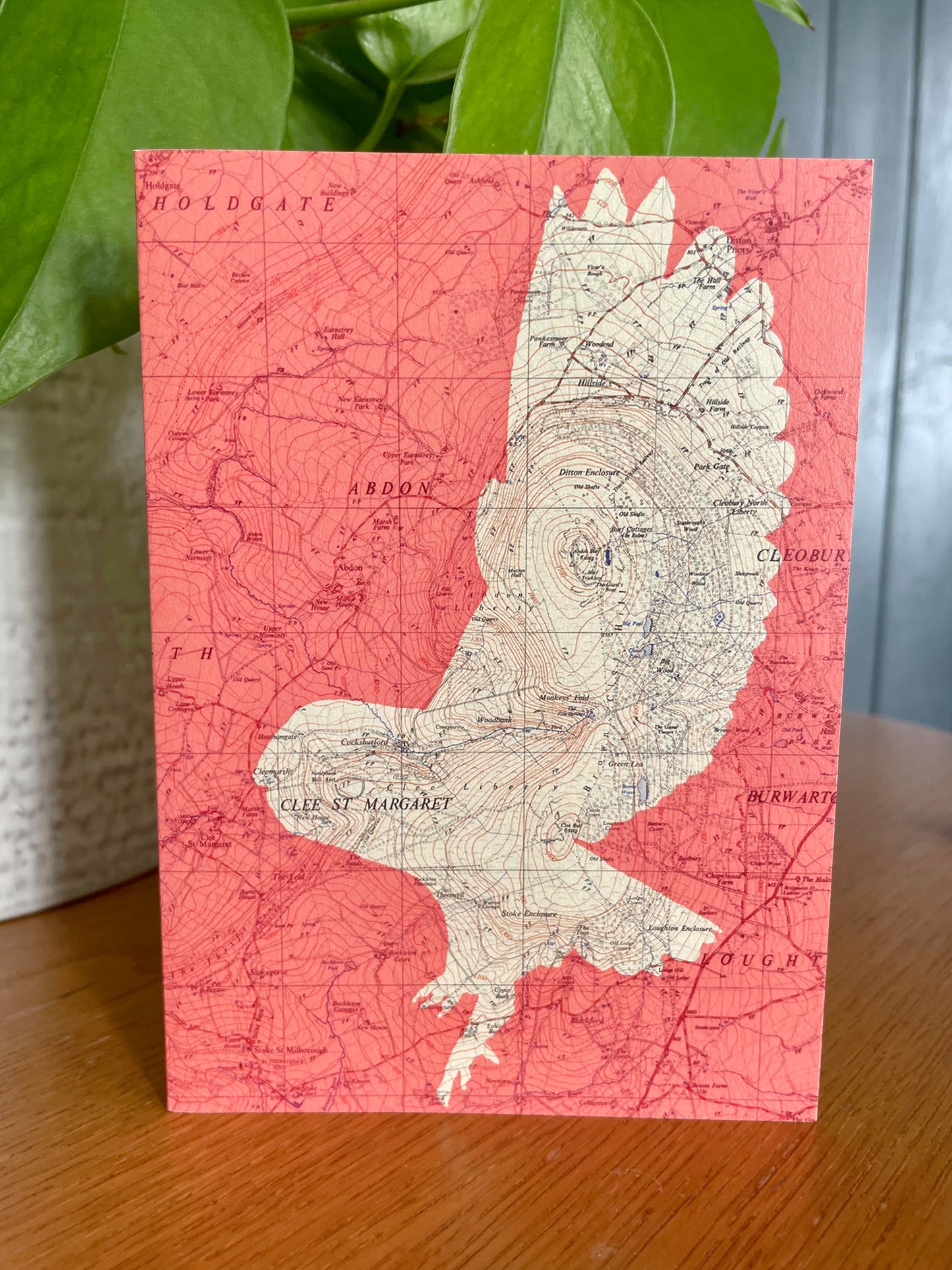 British birds greeting cards printed on OS Ordnance Survey maps. Series of 5 blank cards with recycled paper envelopes