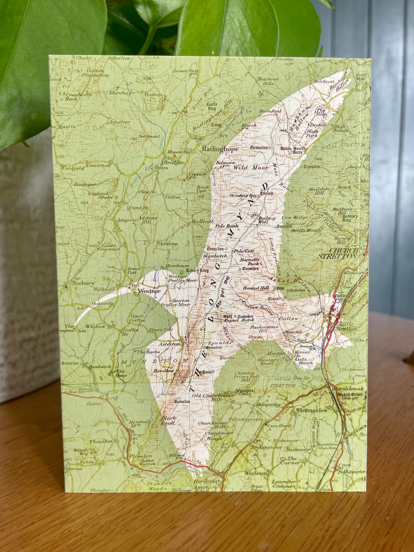 British birds greeting cards printed on OS Ordnance Survey maps. Series of 5 blank cards with recycled paper envelopes