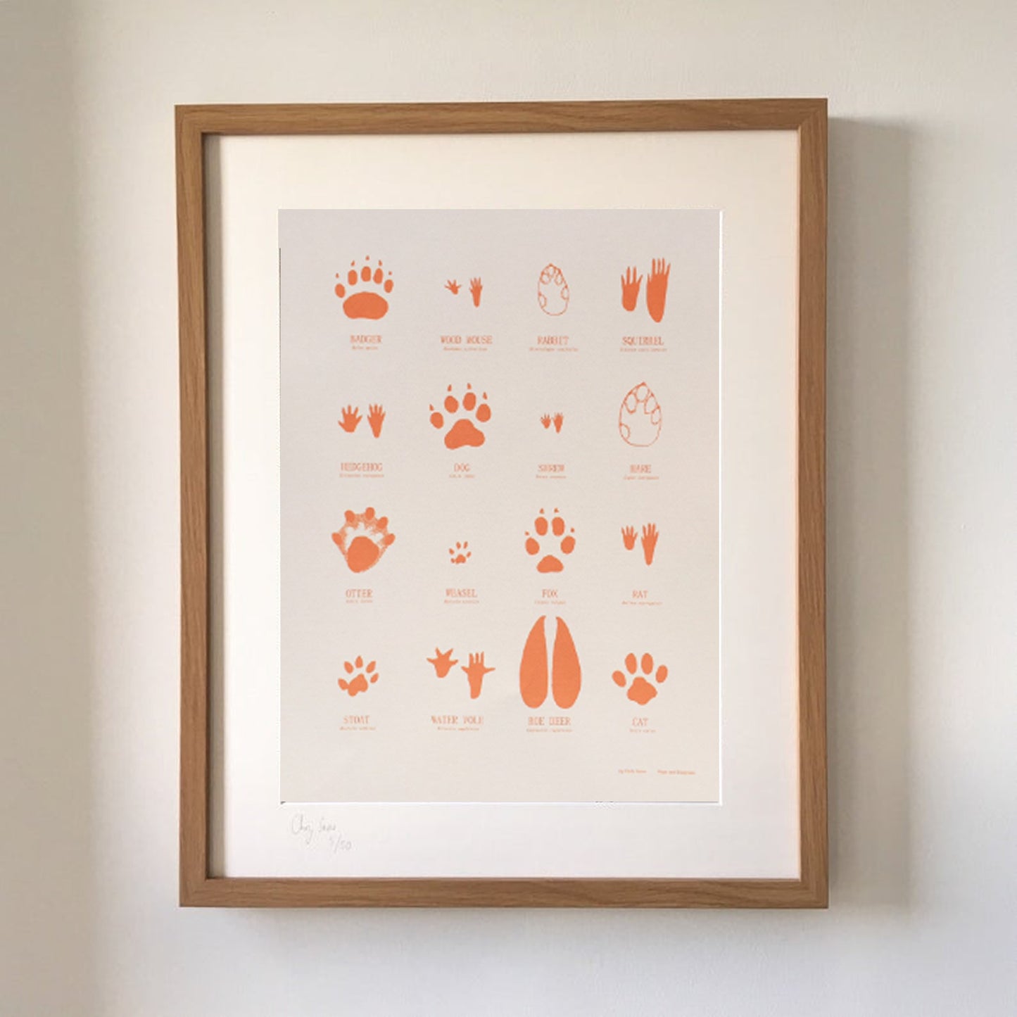 British Animal Tracks. High quality giclee print by Chris Snow / Maps and Diagrams