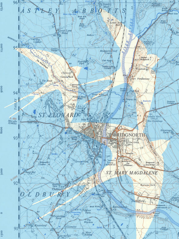 Birds on Maps - by Chris Snow / Maps & Diagrams