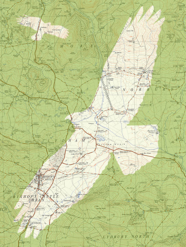 Birds on Maps - by Chris Snow / Maps & Diagrams