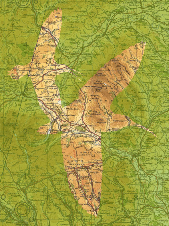 Birds on Maps - by Chris Snow / Maps & Diagrams