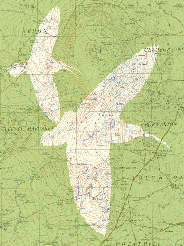 Birds on Maps - by Chris Snow / Maps & Diagrams