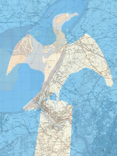Birds on Maps - by Chris Snow / Maps & Diagrams