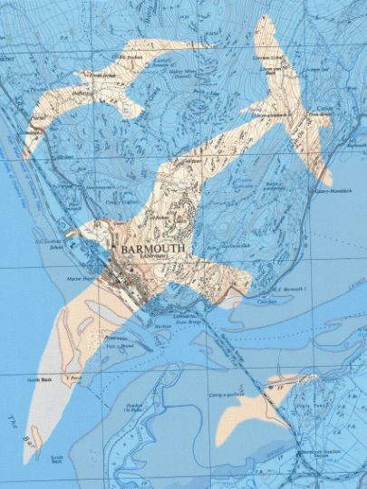 Birds on Maps - by Chris Snow / Maps & Diagrams