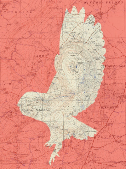 Birds on Maps - by Chris Snow / Maps & Diagrams