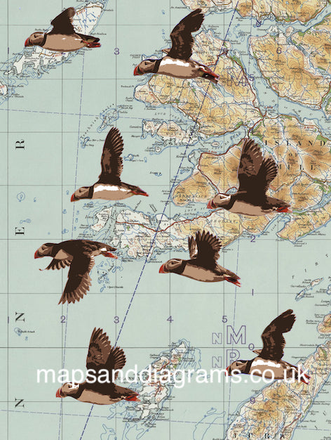 Birds on Maps - by Chris Snow / Maps & Diagrams