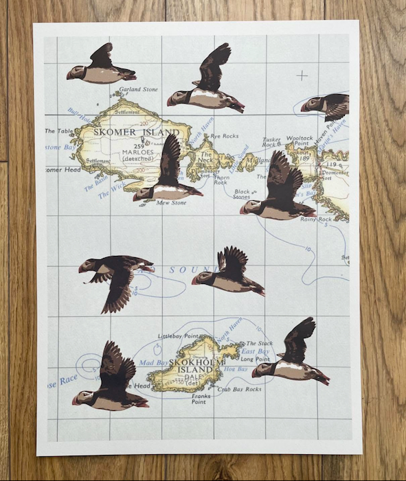 Birds on Maps - by Chris Snow / Maps & Diagrams