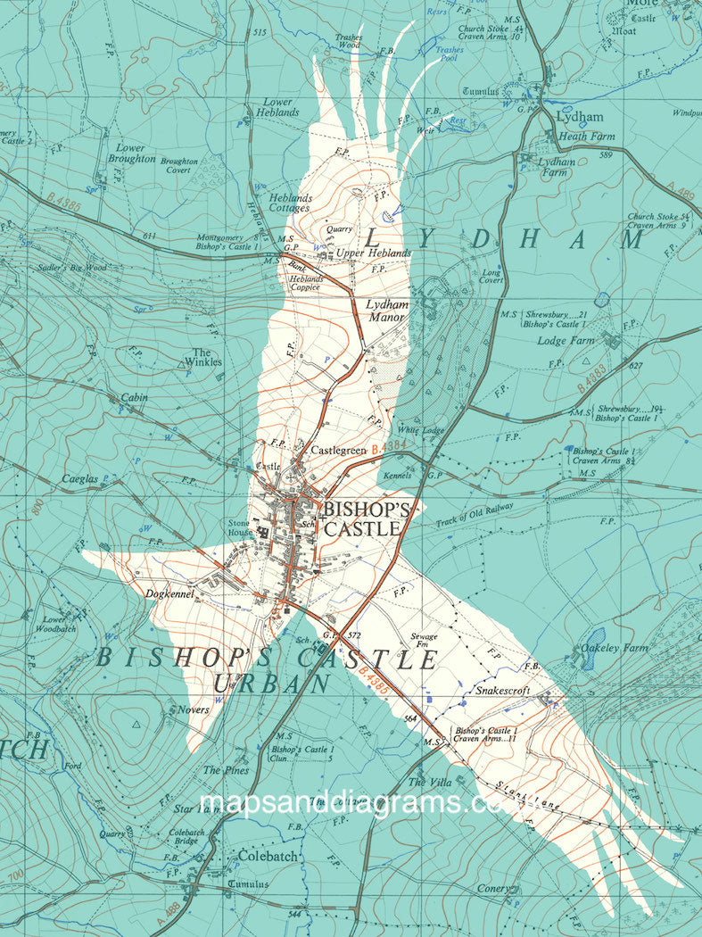 Birds on Maps - by Chris Snow / Maps & Diagrams