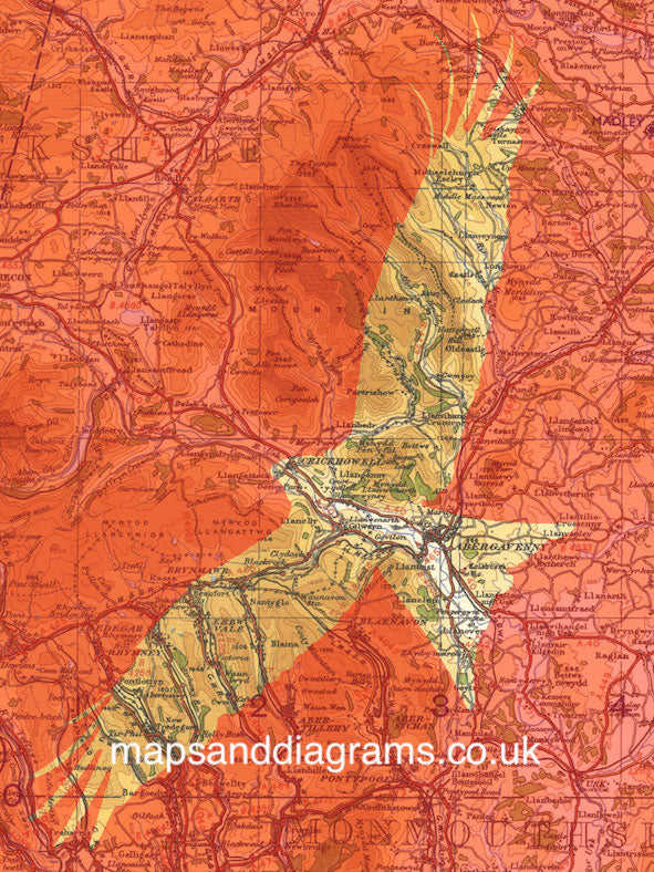 Birds on Maps - by Chris Snow / Maps & Diagrams