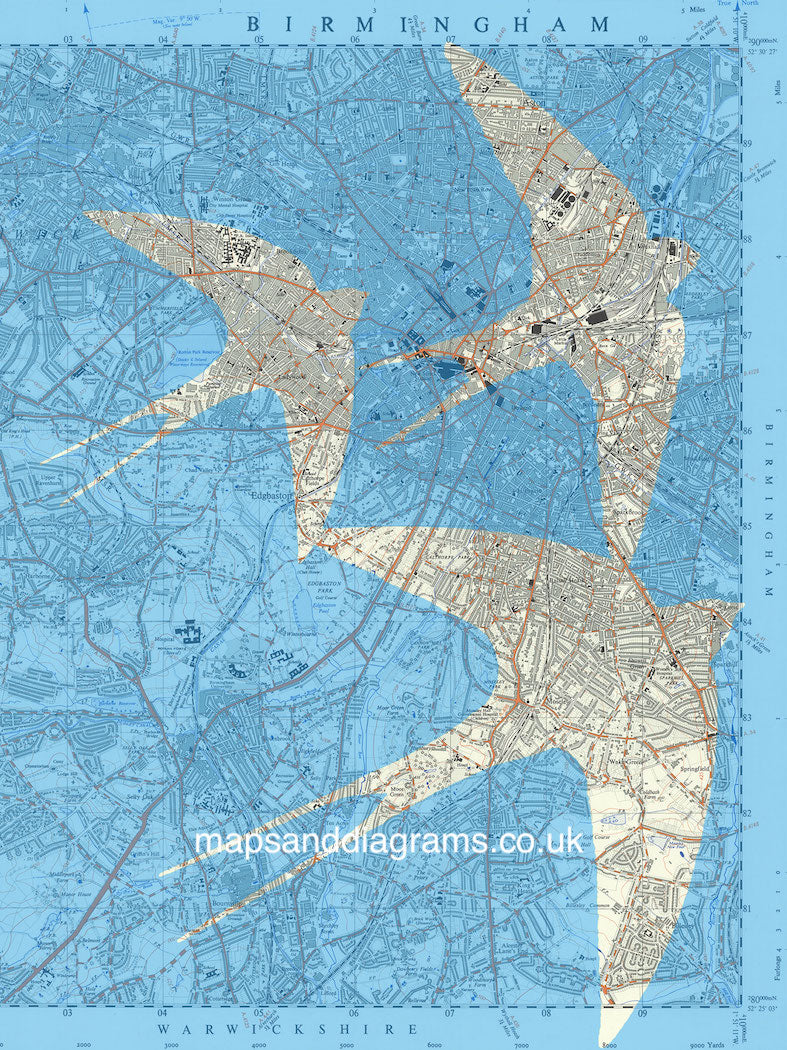 Birds on Maps - by Chris Snow / Maps & Diagrams