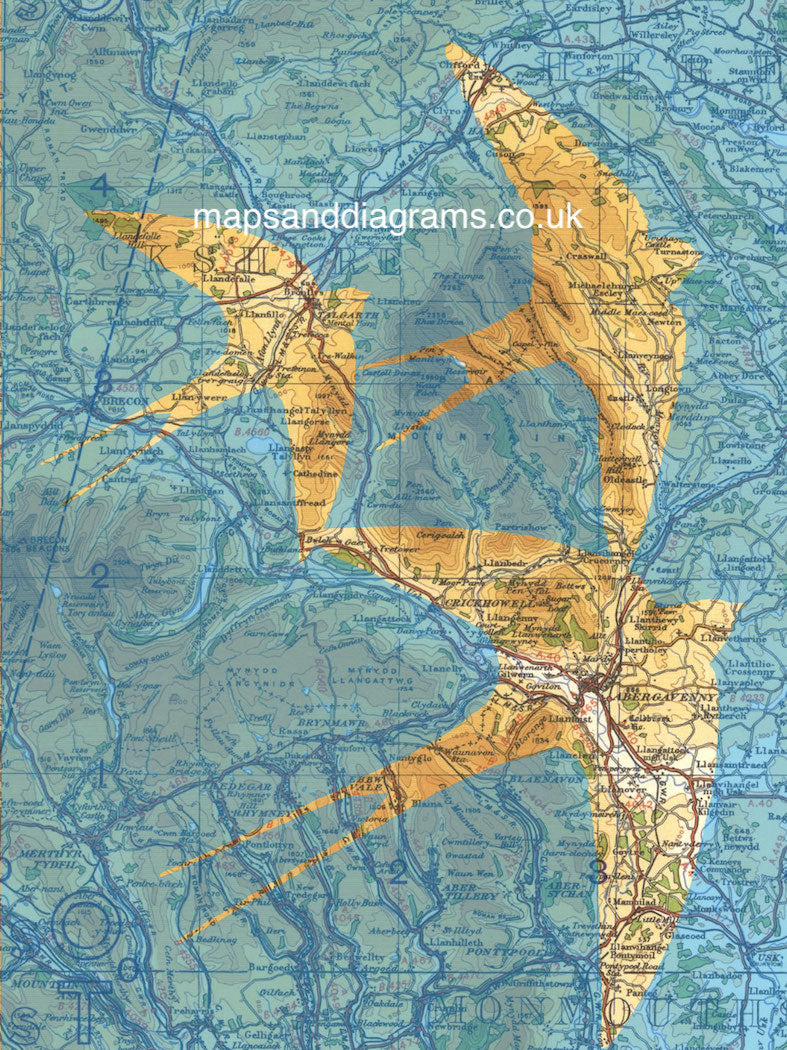 Birds on Maps - by Chris Snow / Maps & Diagrams