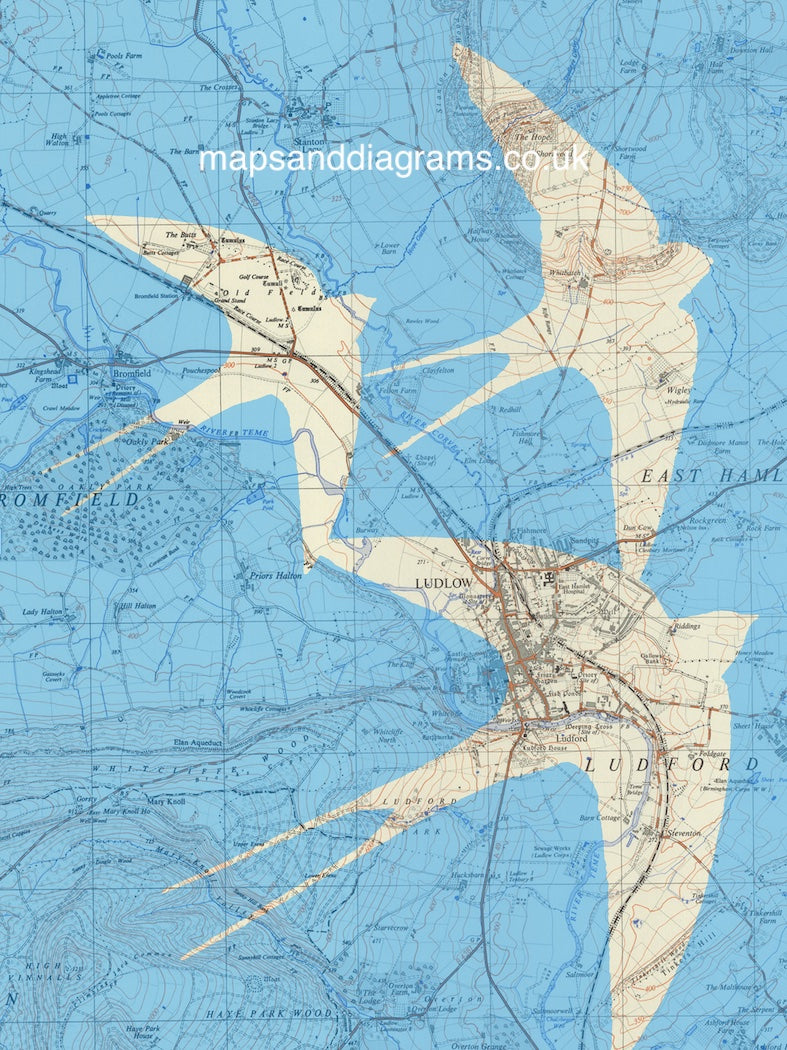 Birds on Maps - by Chris Snow / Maps & Diagrams