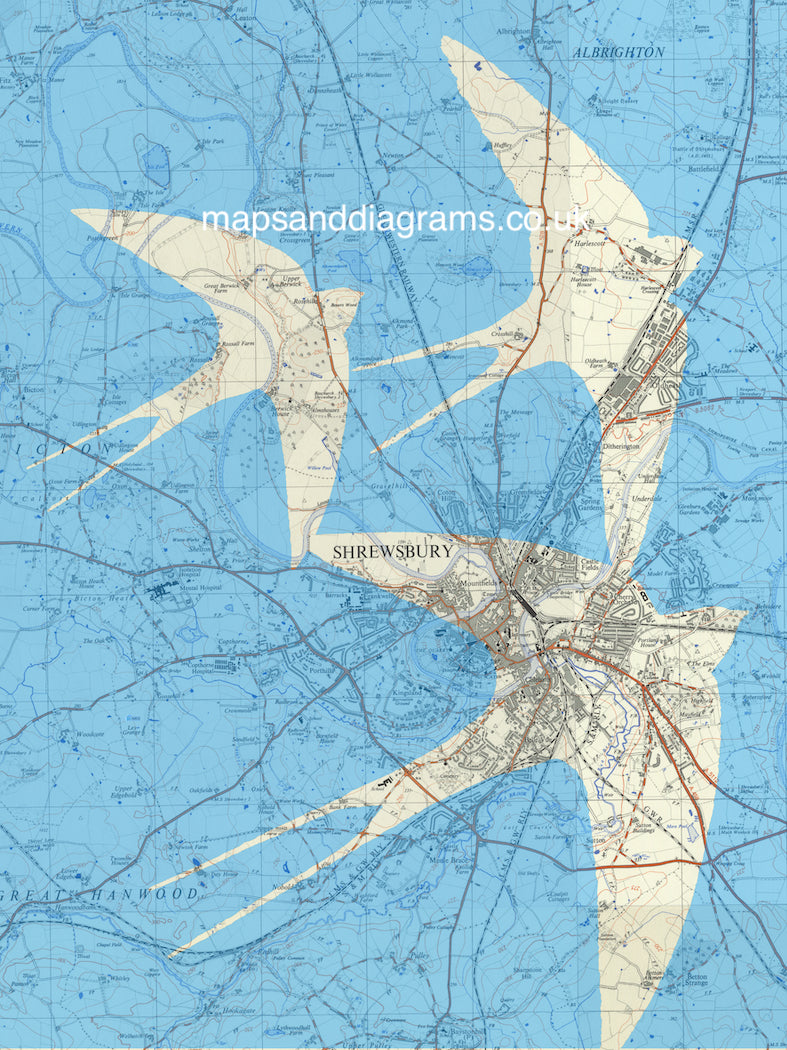 Birds on Maps - by Chris Snow / Maps & Diagrams