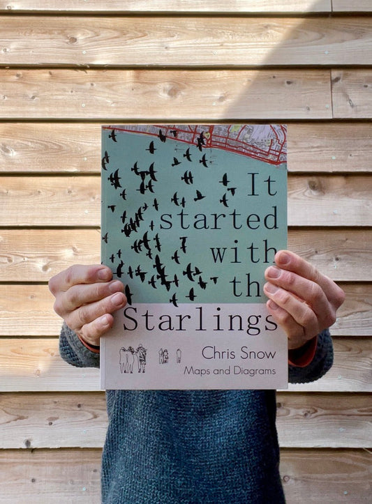 Making: It Started With The Starlings