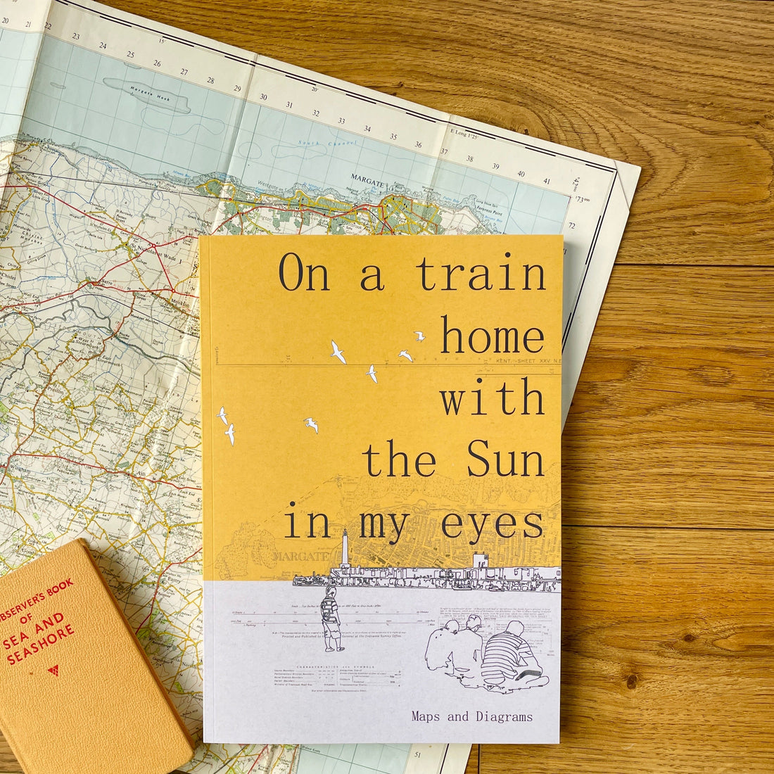 January 29th to Feb 12th - Exhibition - On a train home with the Sun in my eyes.