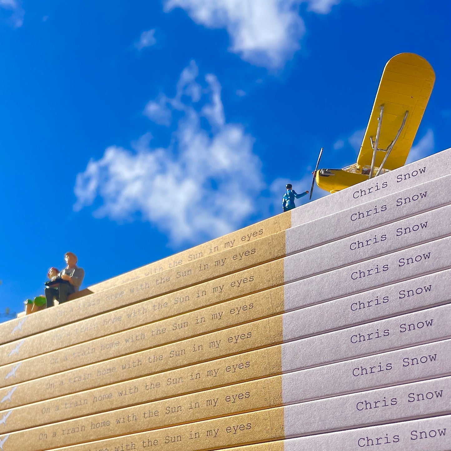 £25 - On A Train Home With The Sun In My Eyes - A  new book by Chris Snow / Maps & Diagrams