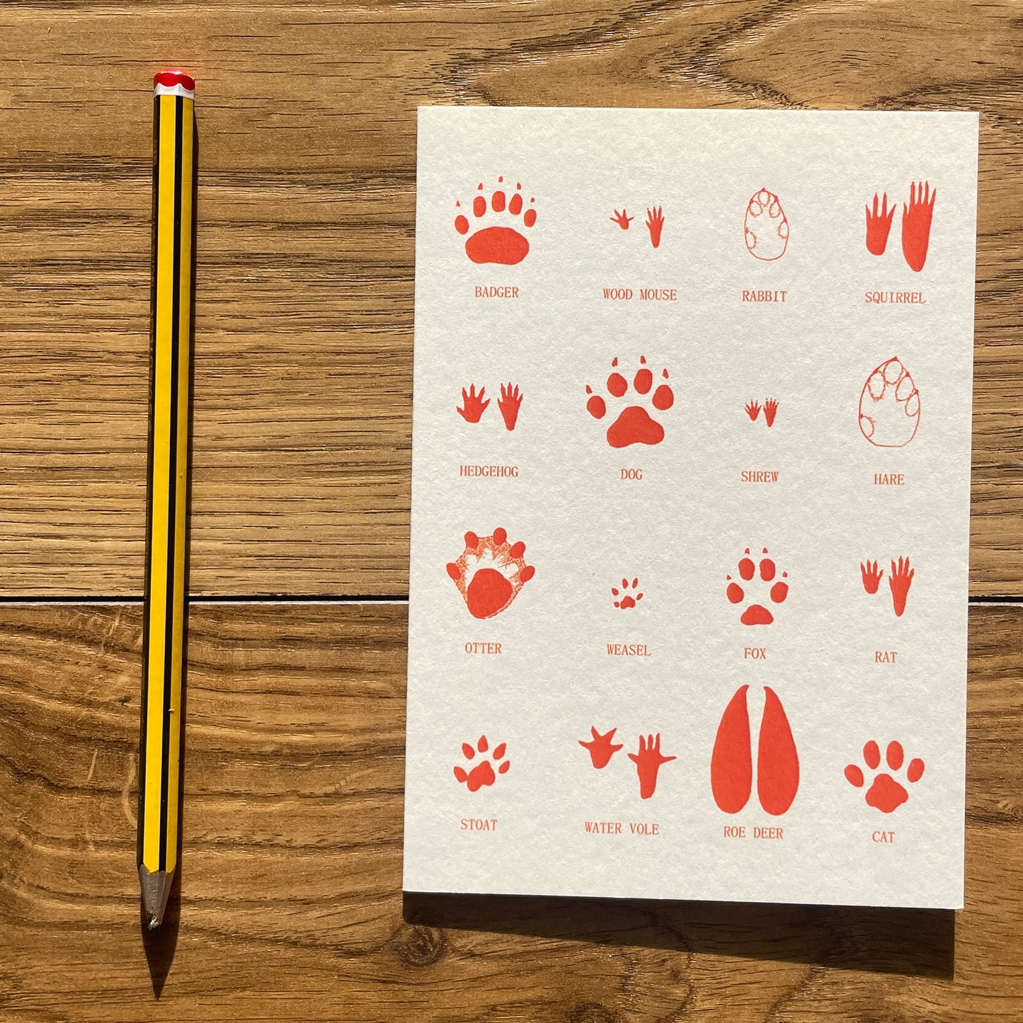 Animal Tracks - greetings card