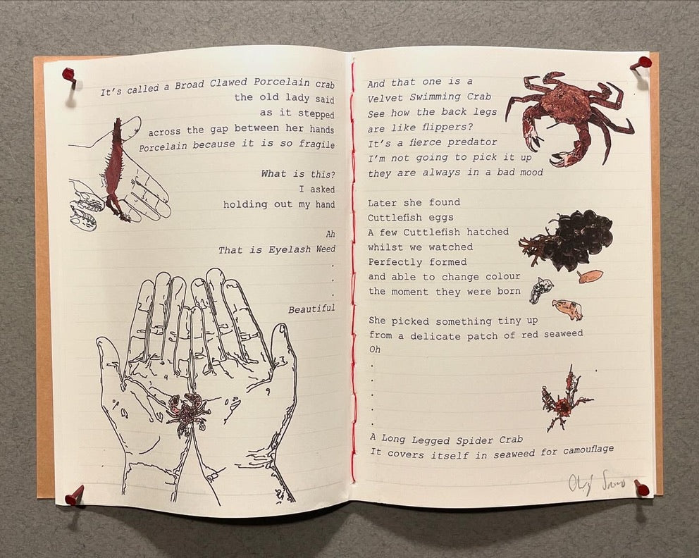 Framed Notebook - Rock Pools - Printed, hand stitched notebook pinned in a nice wooden frame. Made to order.