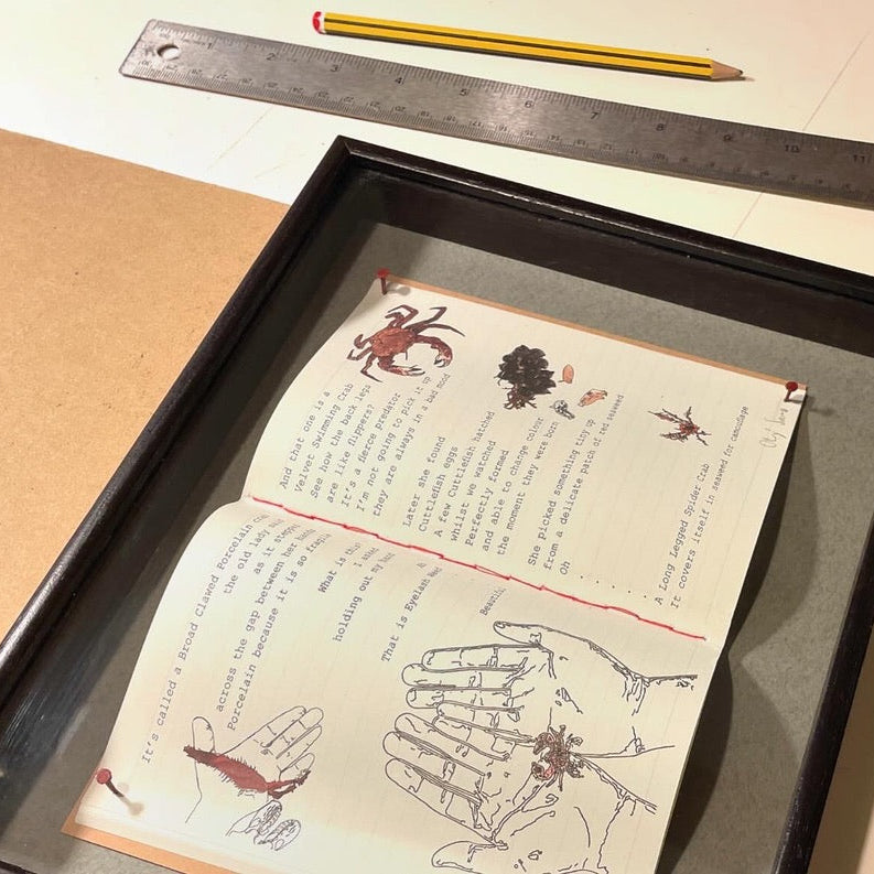 Framed Notebook - Rock Pools - Printed, hand stitched notebook pinned in a nice wooden frame. Made to order.