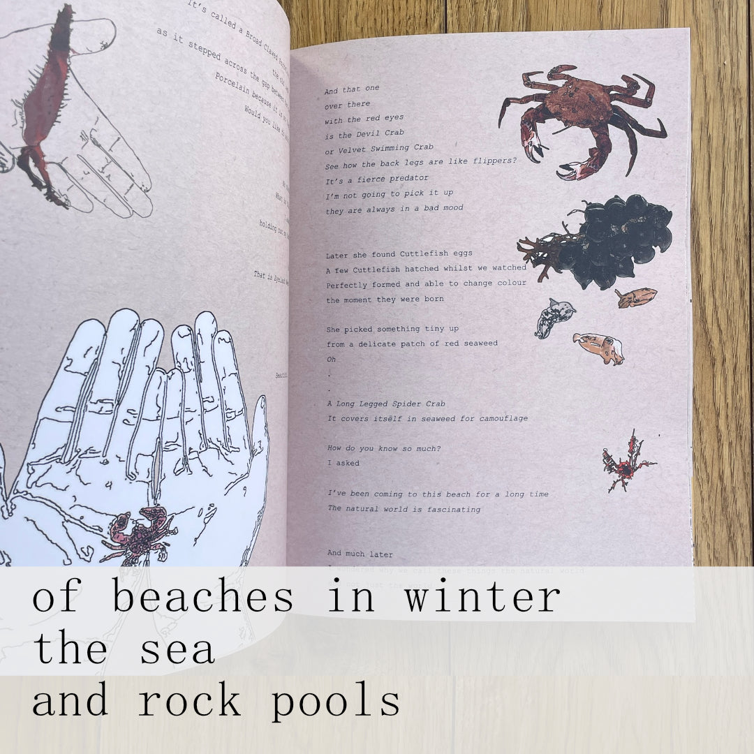 £25 - On A Train Home With The Sun In My Eyes - A  new book by Chris Snow / Maps & Diagrams