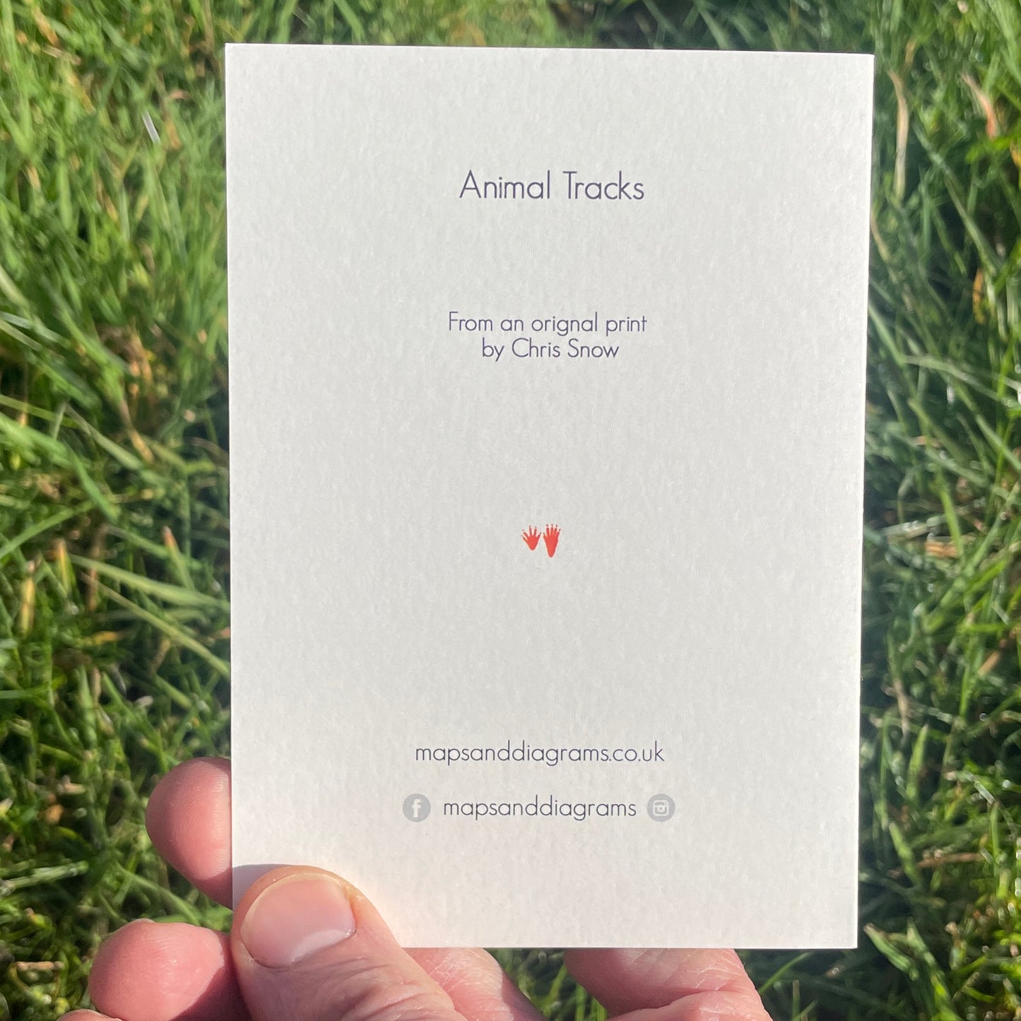 Animal Tracks - greetings card