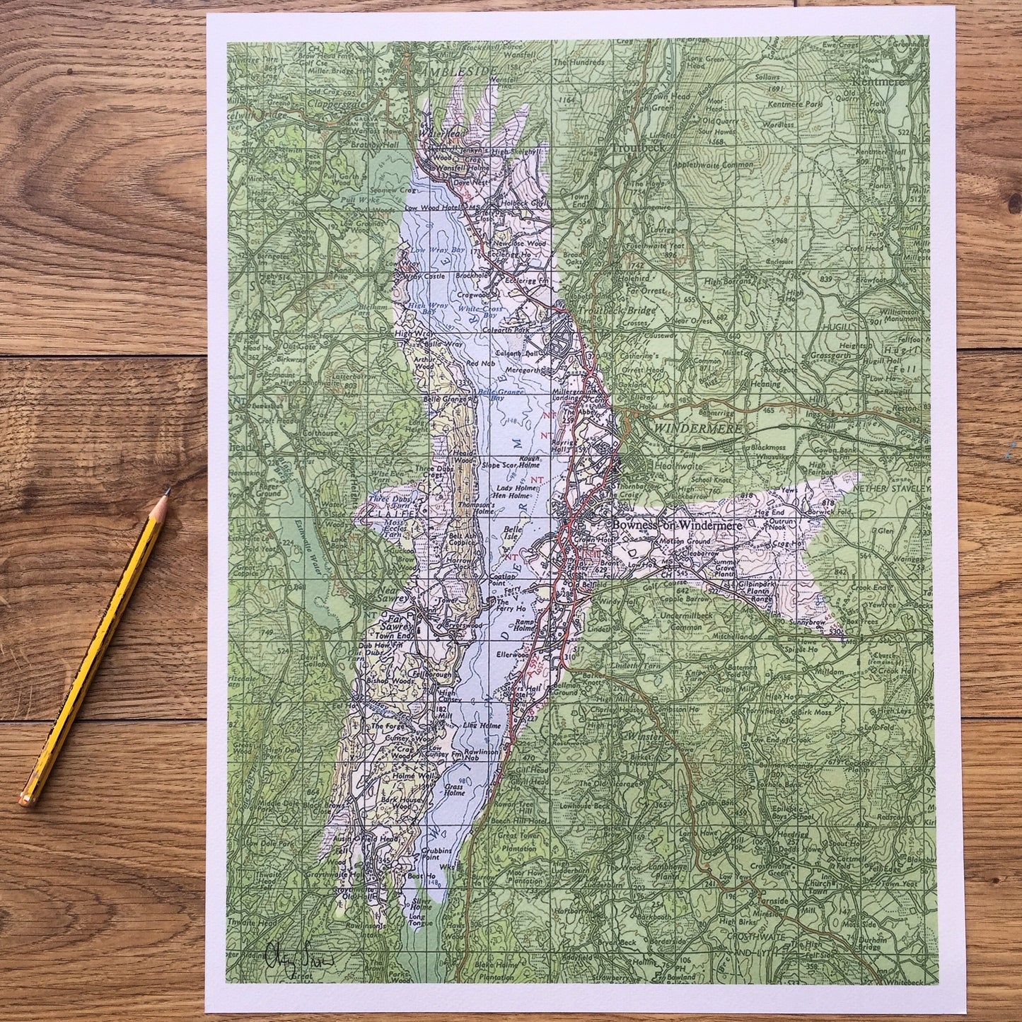 A bird and Ordnance Survey map area of your choice. A custom or personalised print.