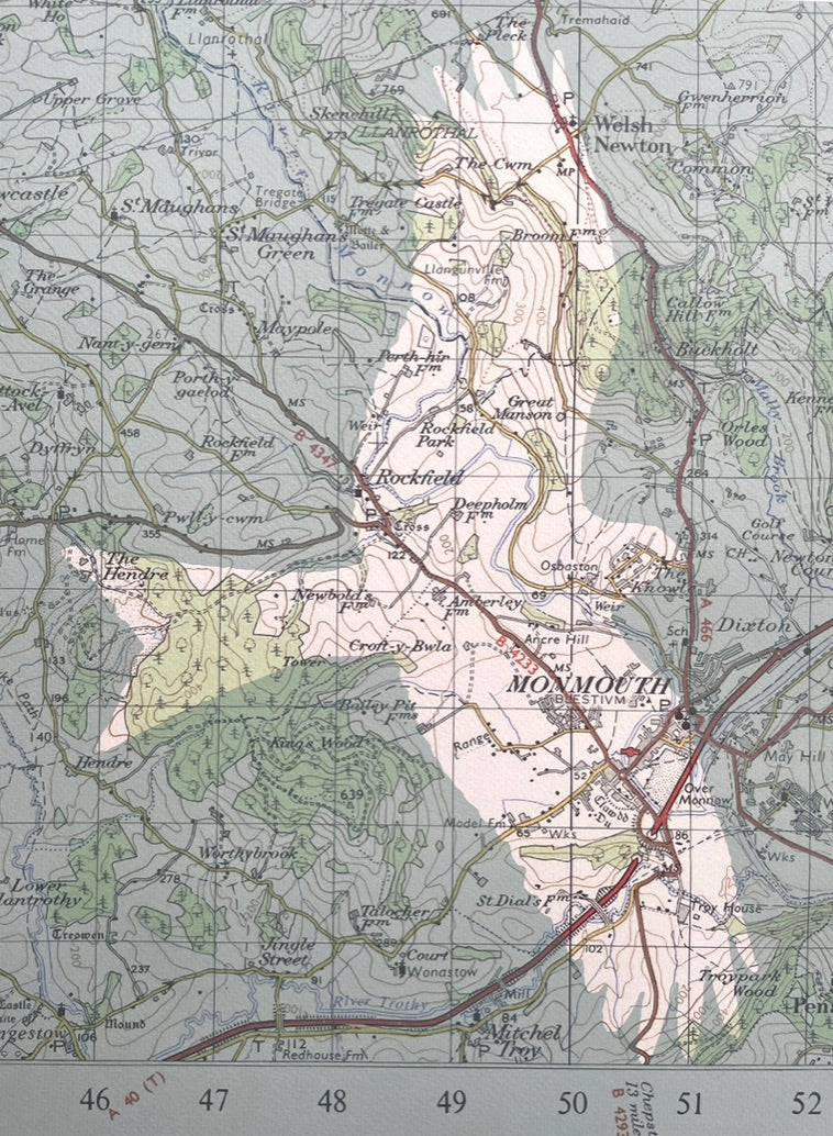 A bird and Ordnance Survey map area of your choice. A custom or personalised print.