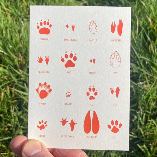 Animal Tracks - greetings card