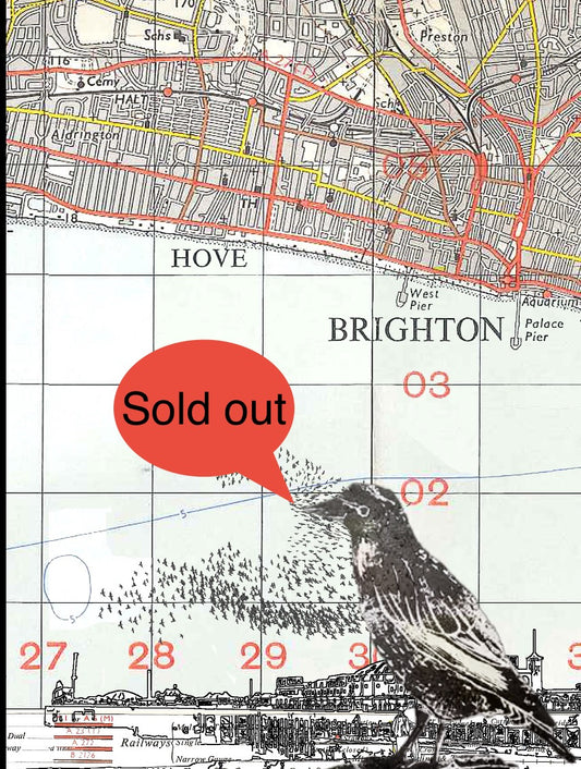 Murmuration No.1, Brighton&Hove. Limited edition print on Bartholomews Map, by Chris Snow / Maps & Diagrams
