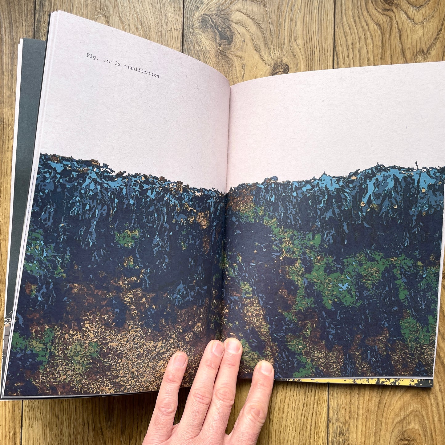 On A Train Home With The Sun In My Eyes - A  new book by Chris Snow / Maps & Diagrams