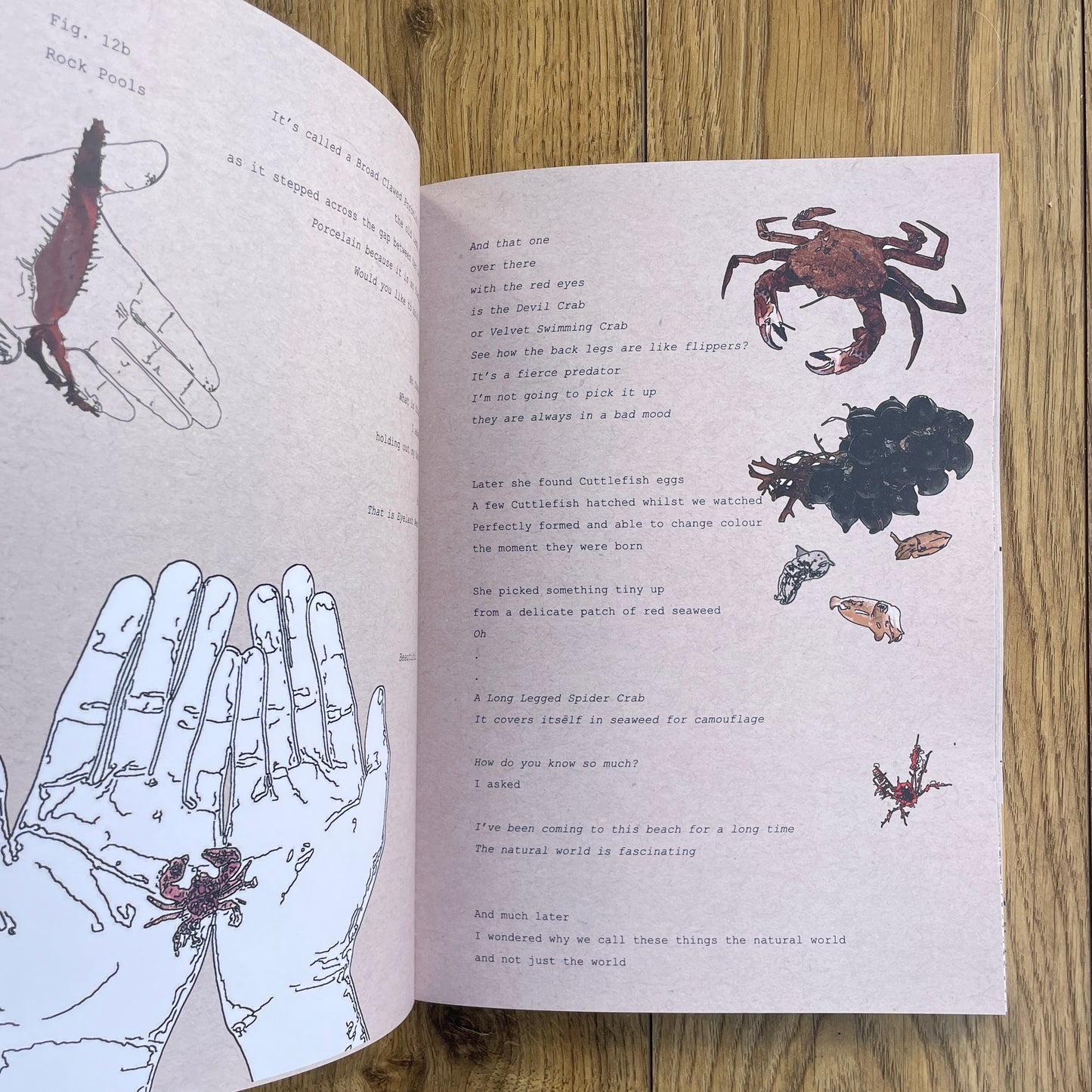 On A Train Home With The Sun In My Eyes - A  new book by Chris Snow / Maps & Diagrams