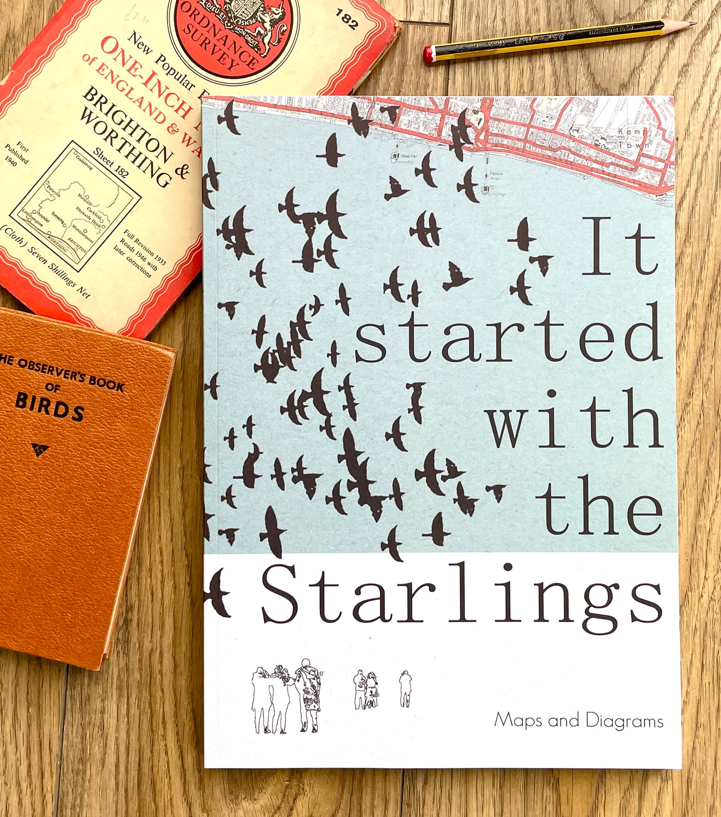 It Started With The Starlings - A book by Chris Snow / Maps & Diagrams. Part atlas, bird book, picture book, story book