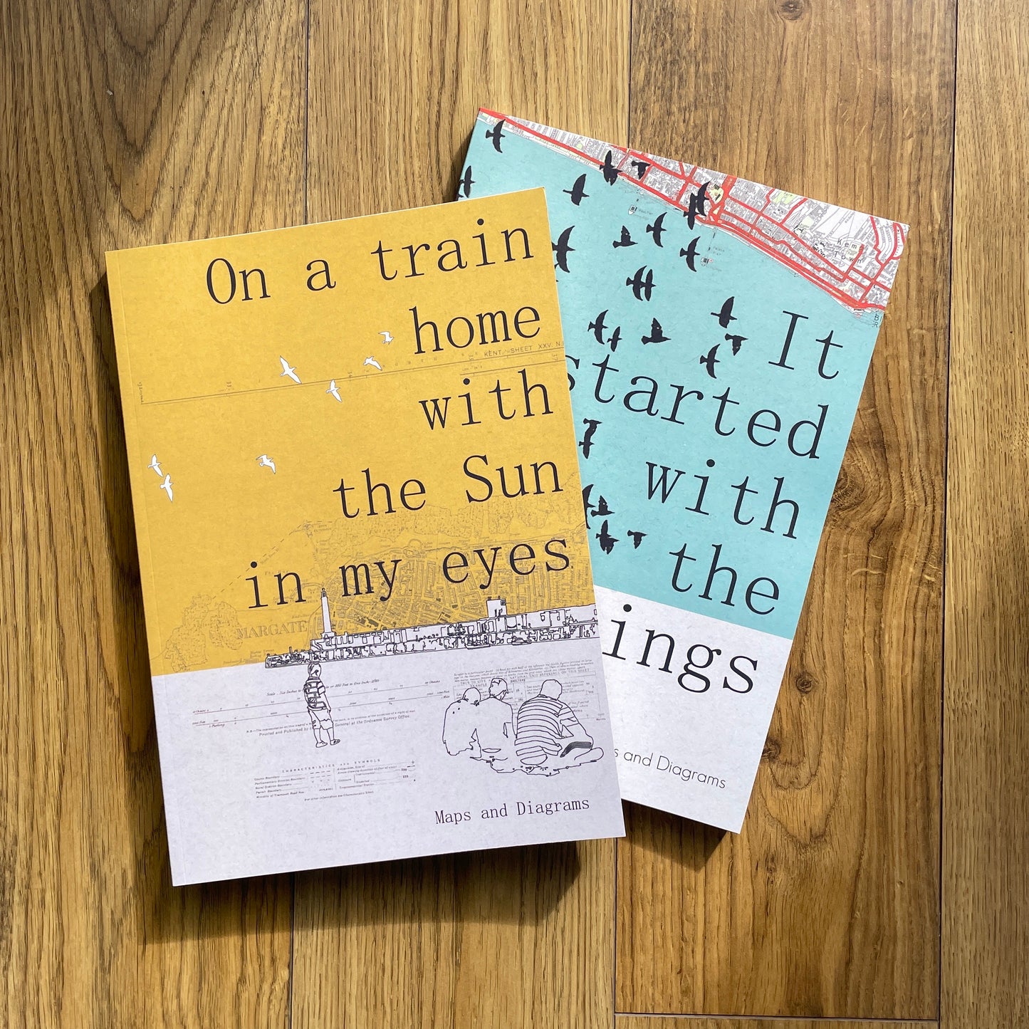 It Started With The Starlings - A book by Chris Snow / Maps & Diagrams.