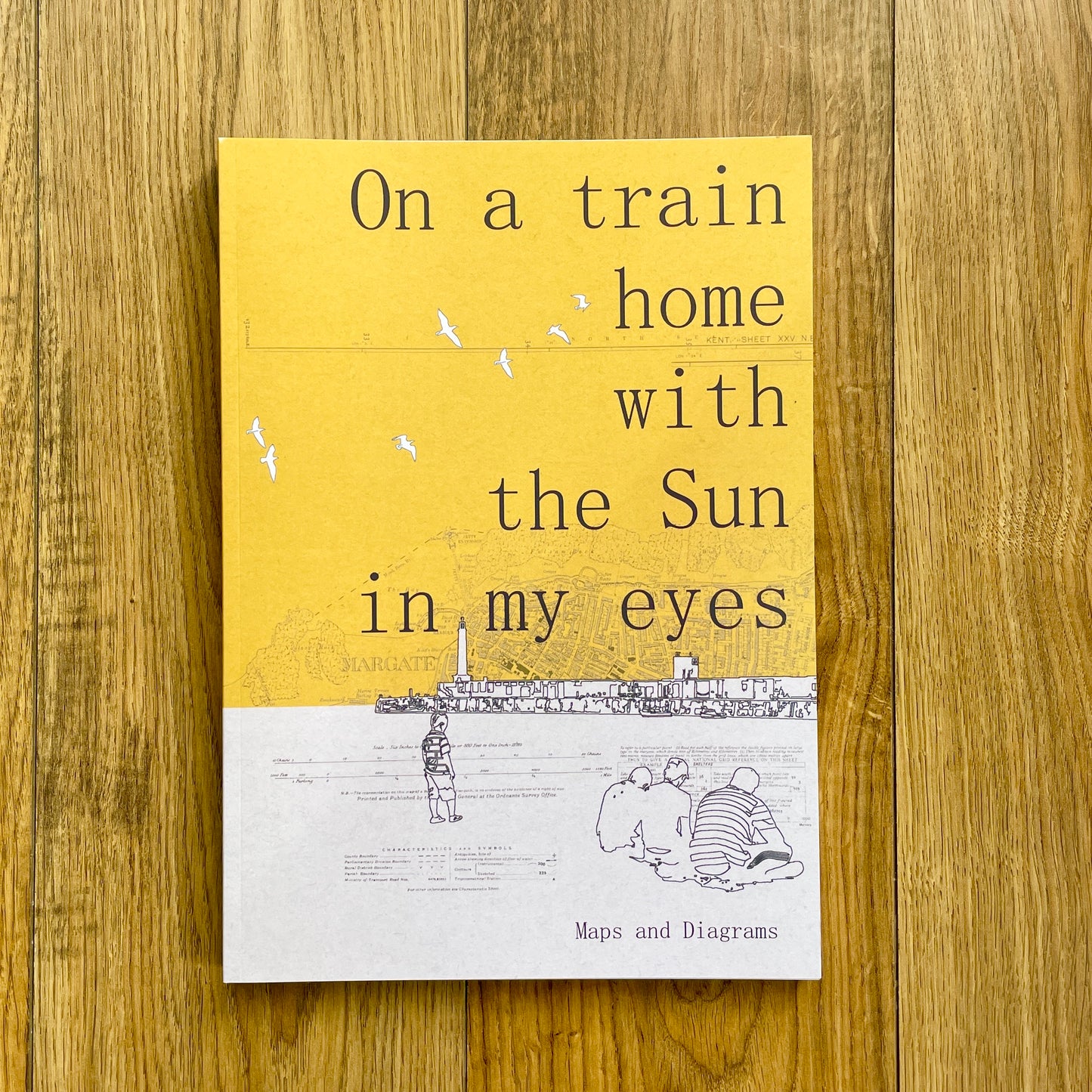 On A Train Home With The Sun In My Eyes - A  new book by Chris Snow / Maps & Diagrams