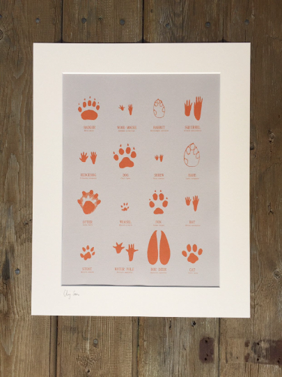 British Animal Tracks. High quality giclee print by Chris Snow / Maps and Diagrams