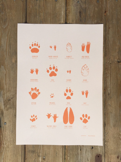 British Animal Tracks. High quality giclee print by Chris Snow / Maps and Diagrams